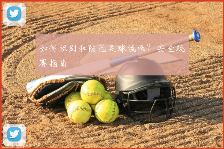 如何识别和防范足球流氓？安全观赛指南