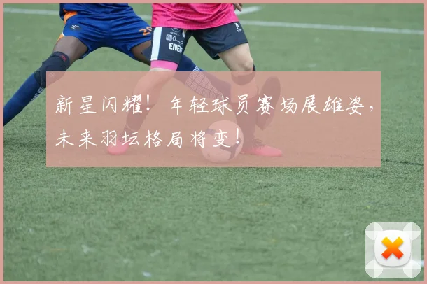 新星闪耀！年轻球员赛场展雄姿，未来羽坛格局将变！