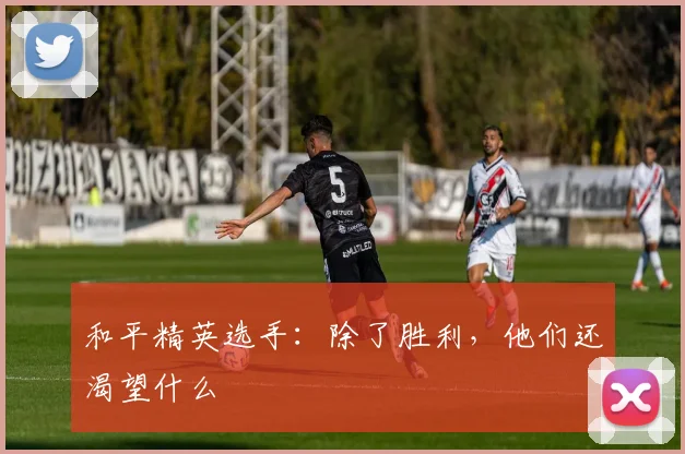 和平精英选手：除了胜利，他们还渴望什么